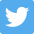 twitter-color-icon